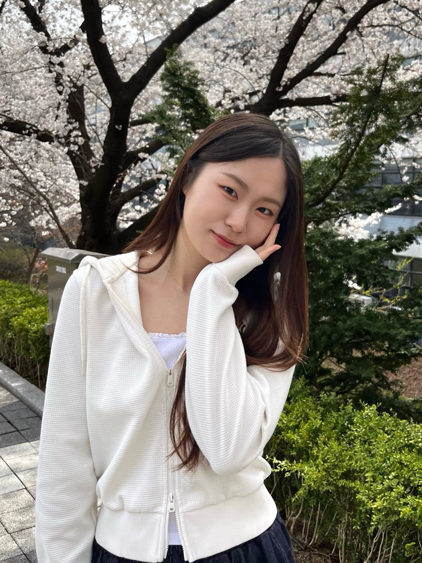 멤버사진